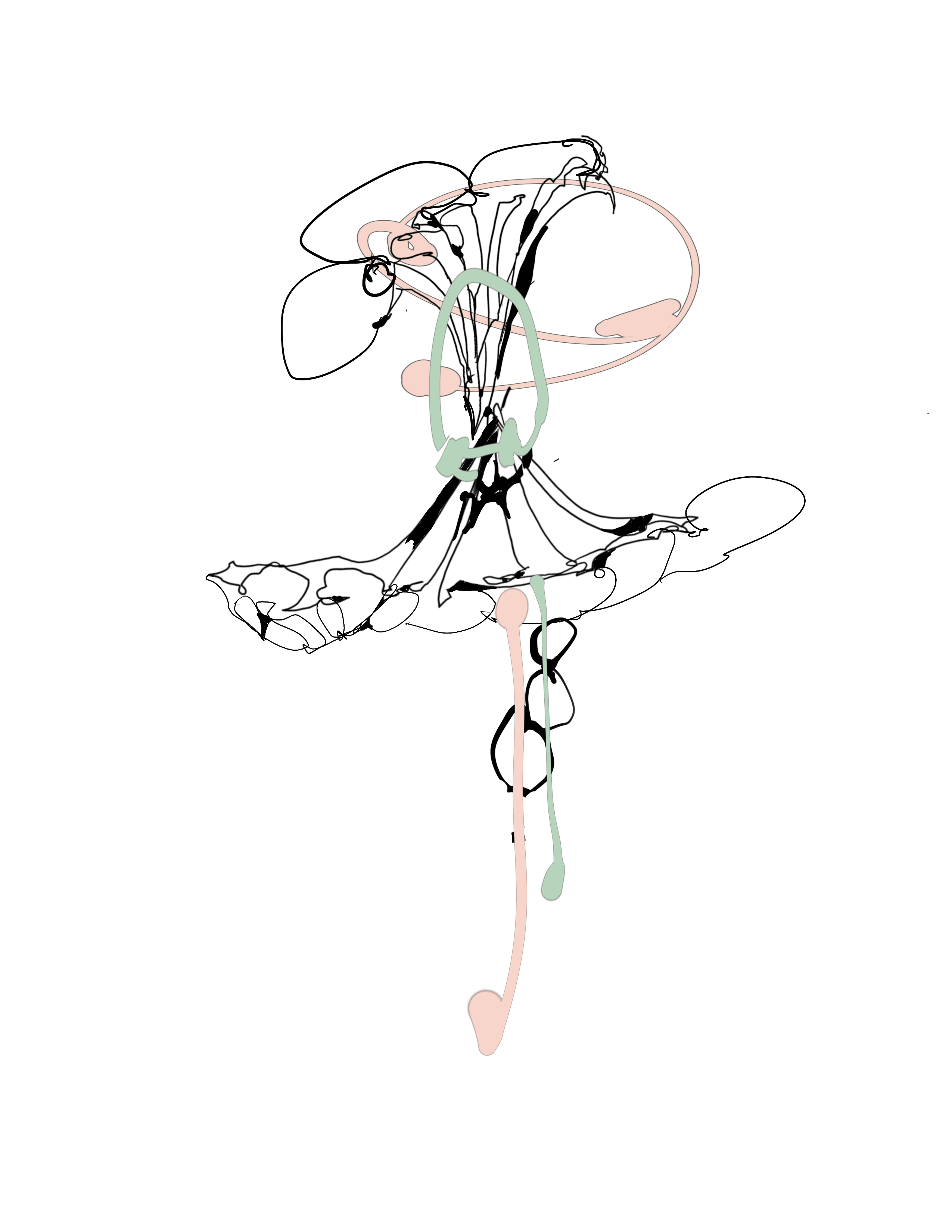 IMG_5628.png