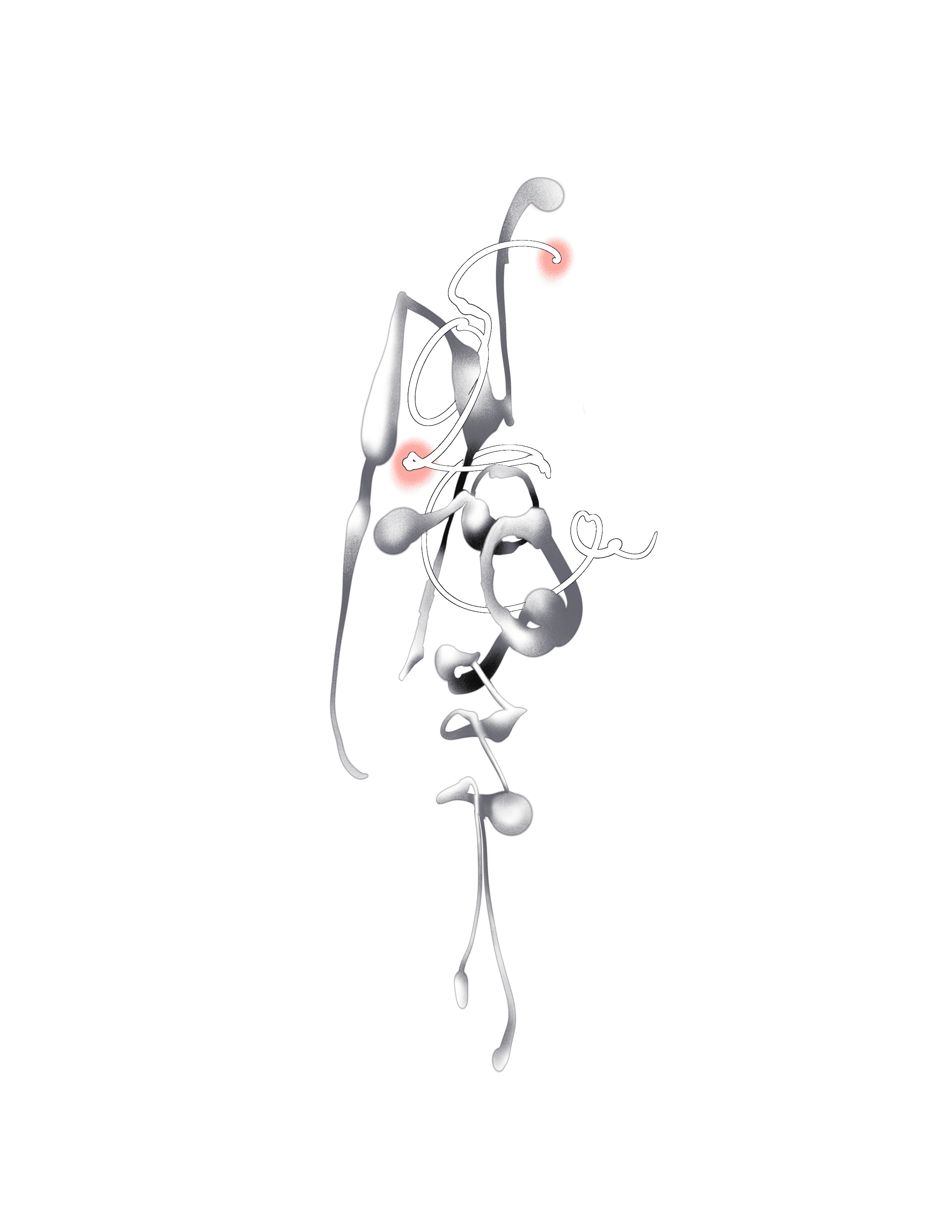IMG_5701.png