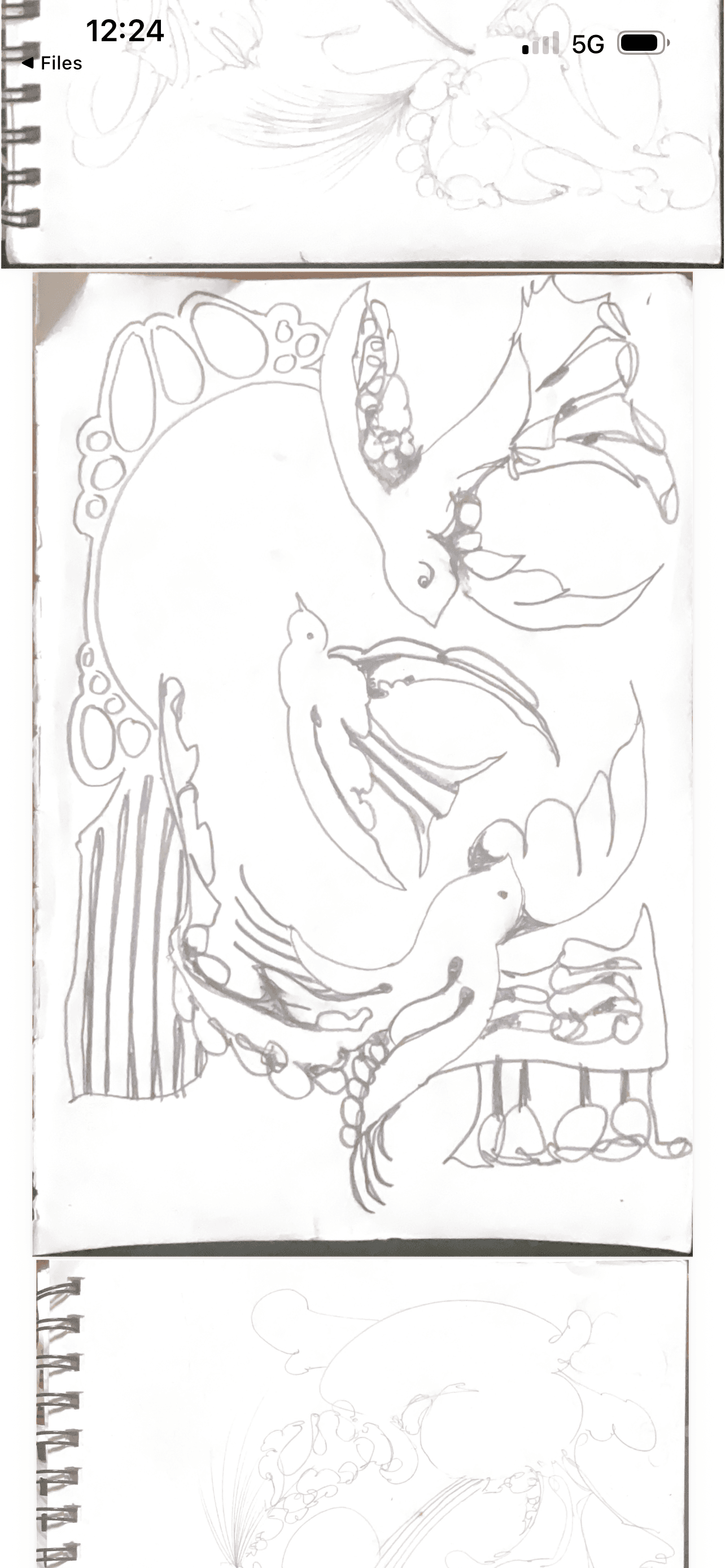 IMG_2357.png
