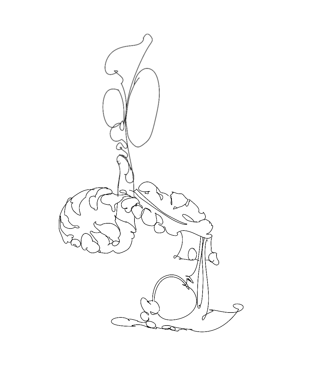 IMG_6034.png