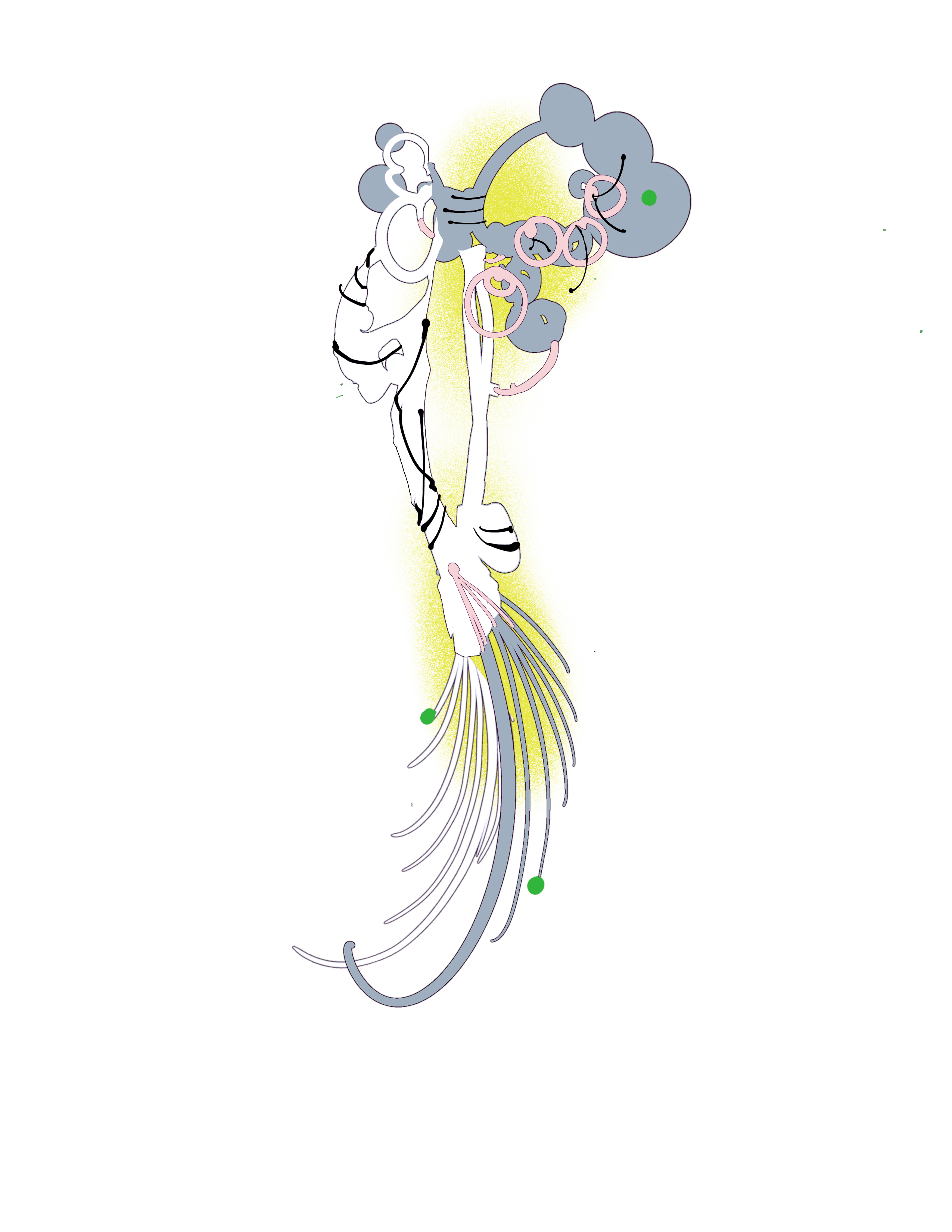 IMG_6134.png