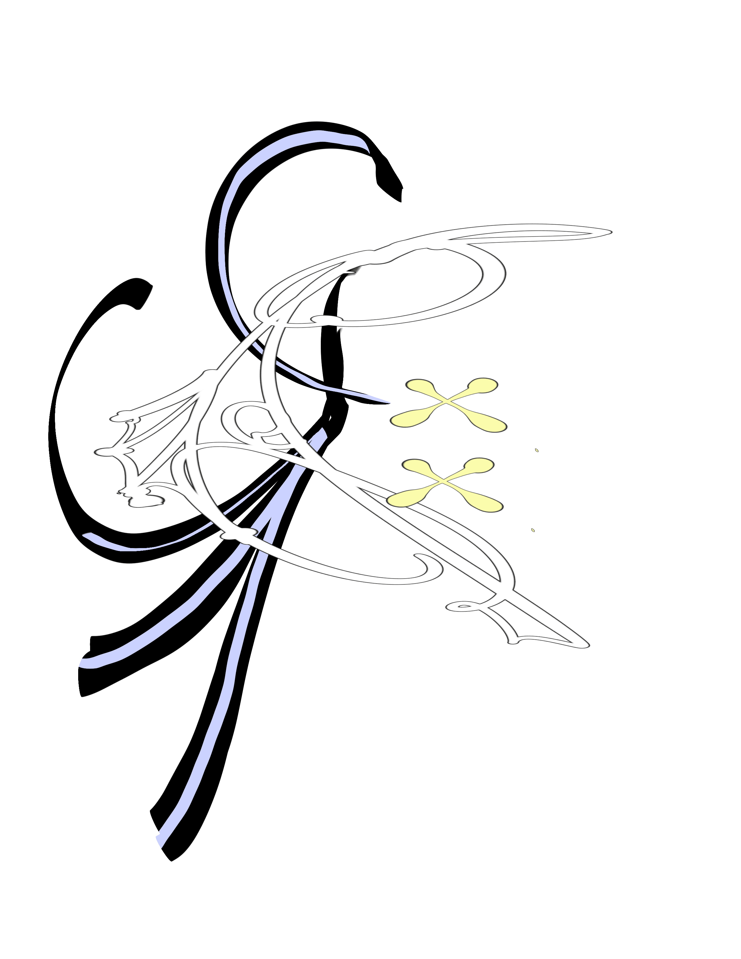 IMG_6137.png