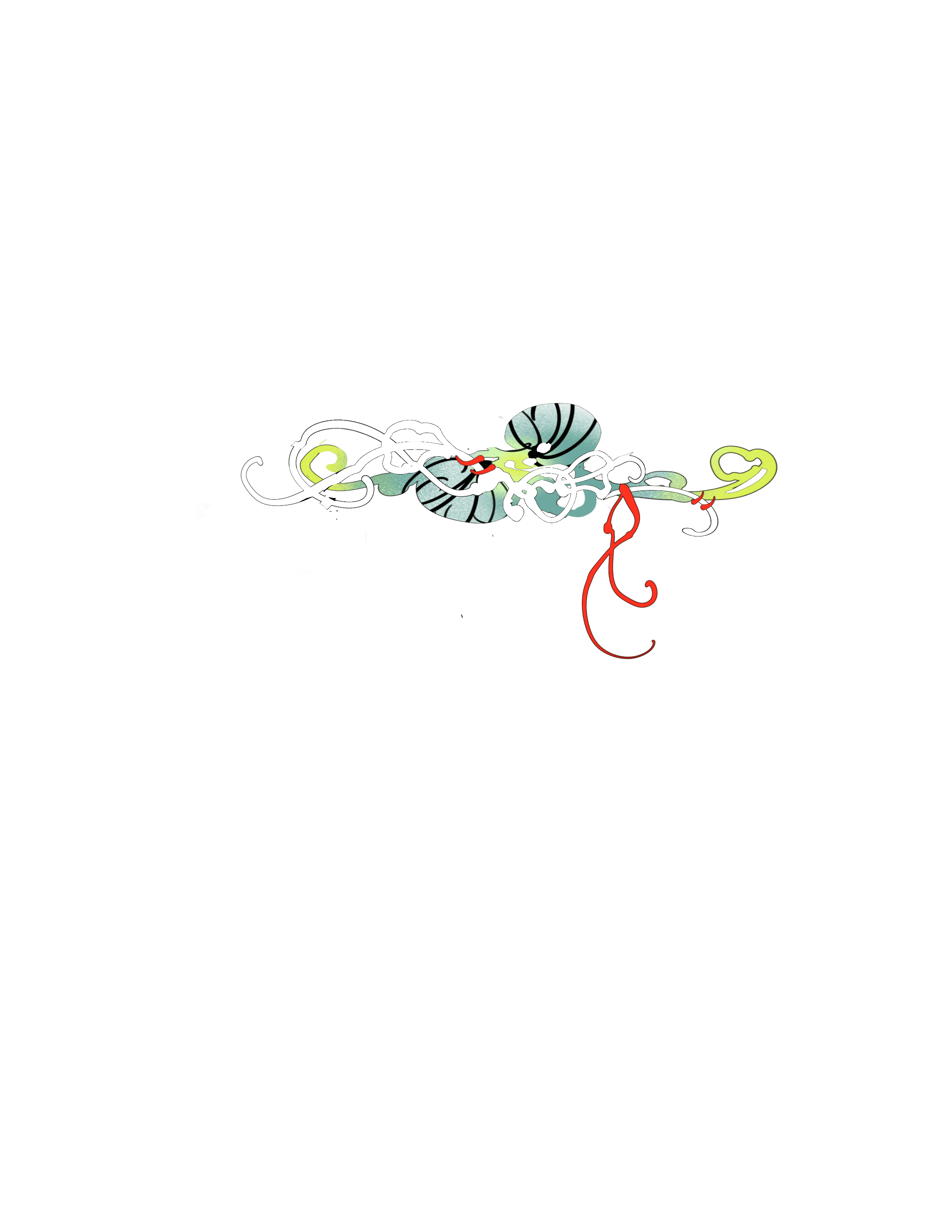 IMG_6224.png