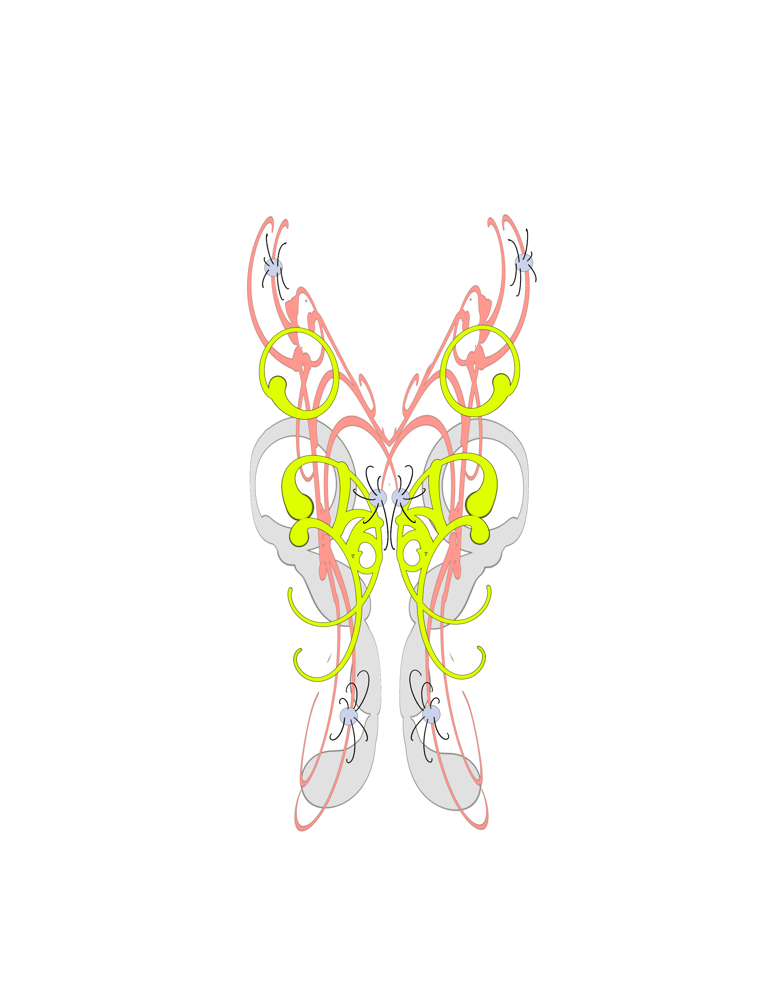 IMG_6225.png