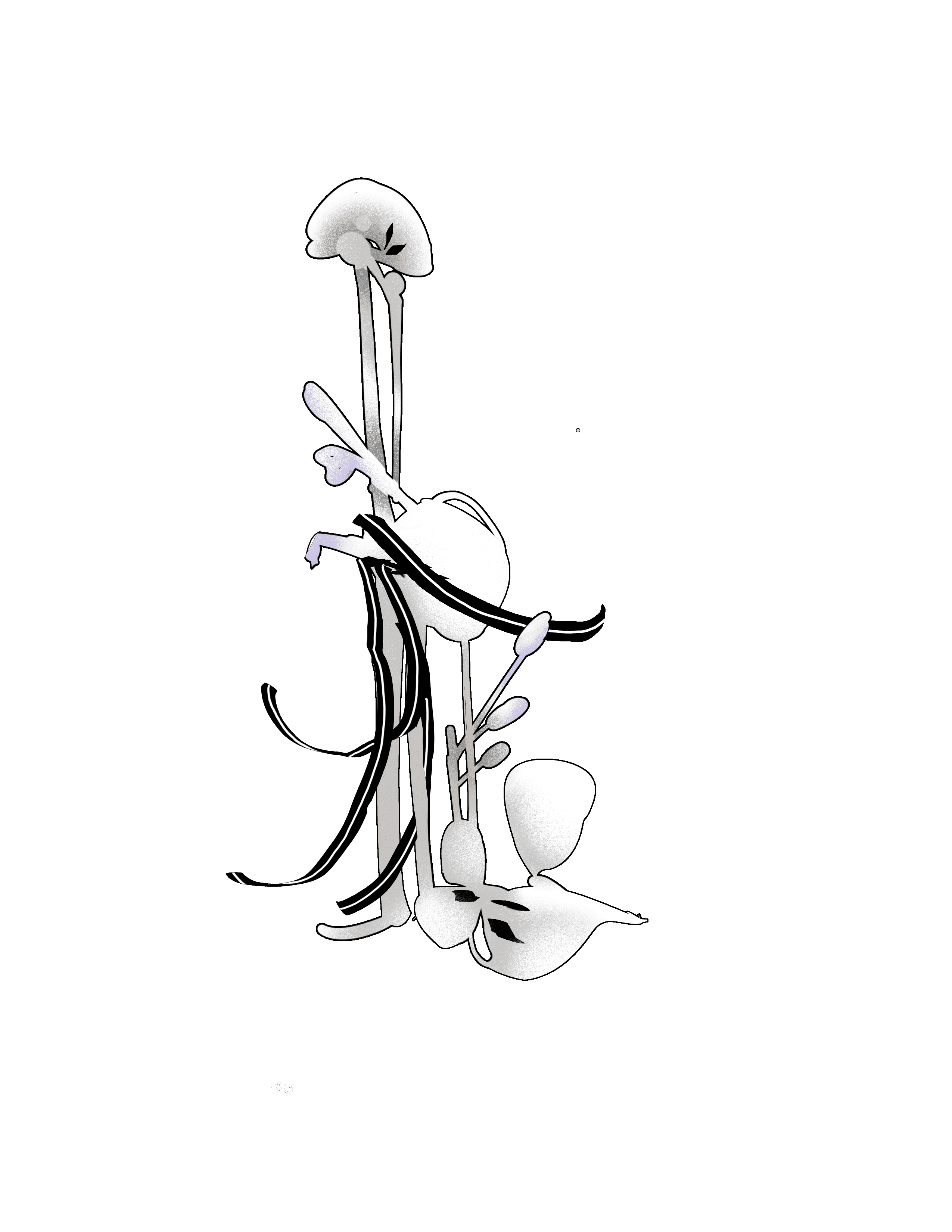 IMG_6231.png