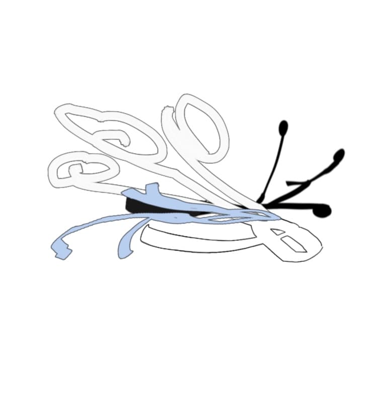 IMG_6242.jpeg
