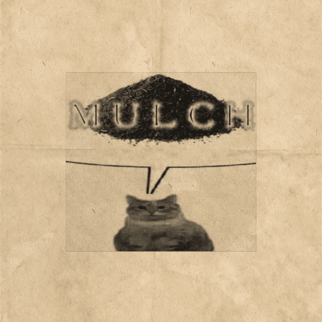 mulch