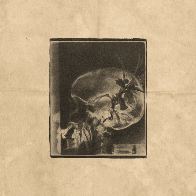skull cyanotype