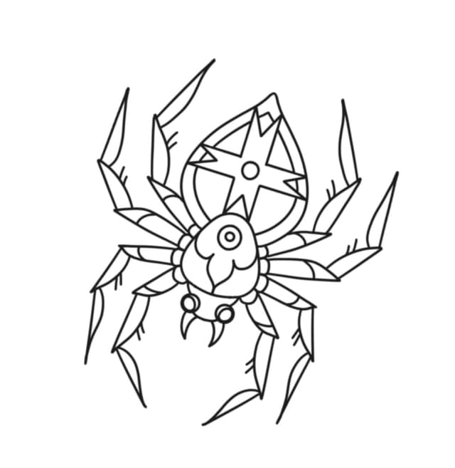 Spider